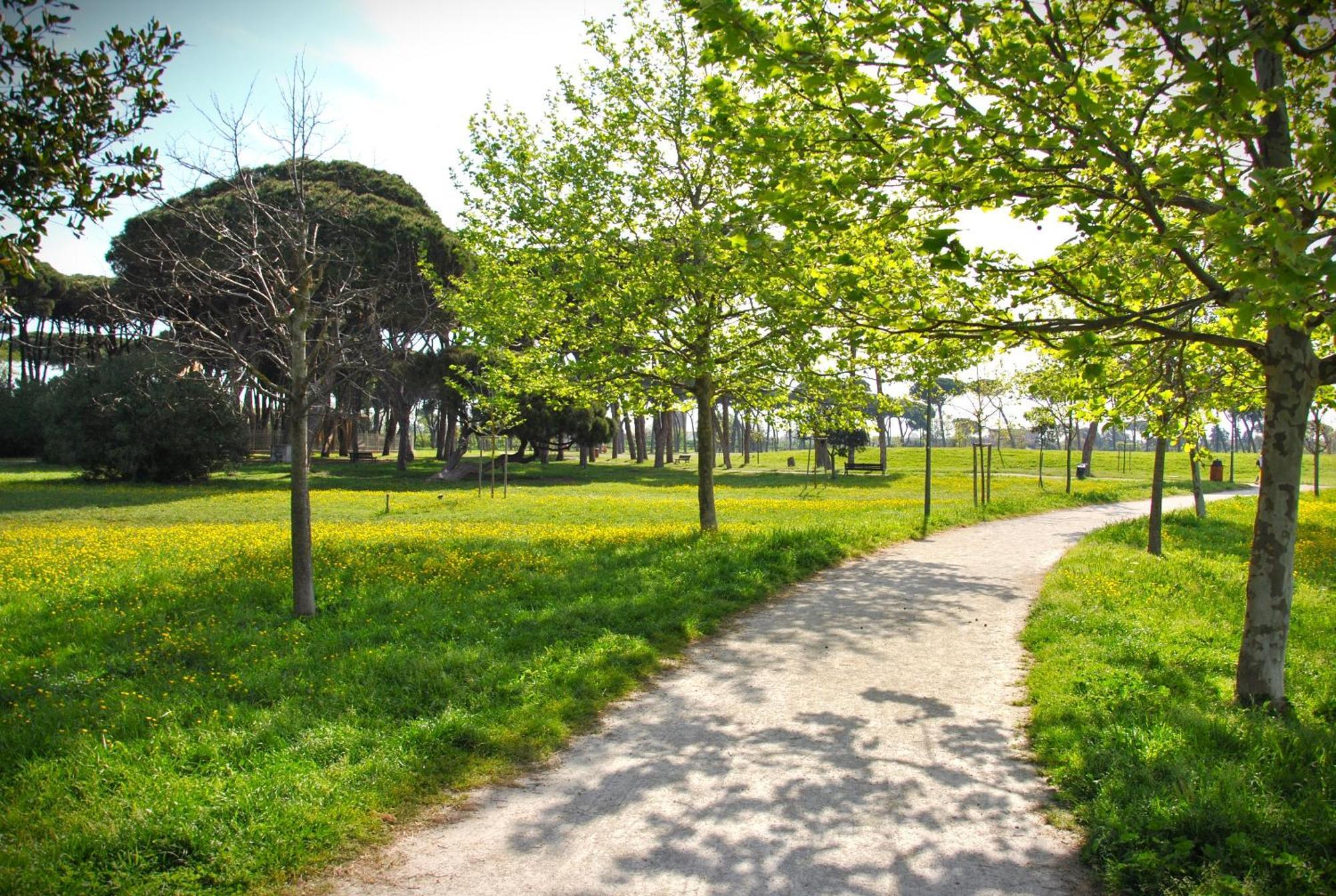 Alloggio Di Giorgia Fiumicino Exterior photo